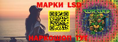 спиды Прохладный